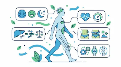 Illustrated infographic showing health benefits of walking for men over 50