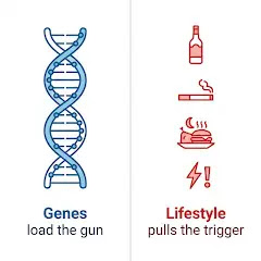Infographic comparing genetics loading the gun versus lifestyle pulling the trigger with DNA and health icons