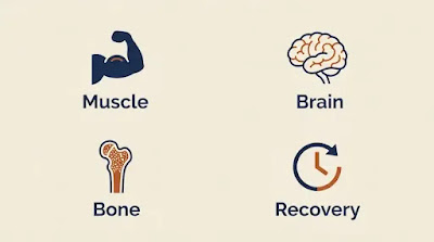Infographic showing four research-backed benefits of creatine monohydrate for men over 50: muscle preservation, brain health, bone density support, and recovery improvement based on 2024-2025 clinical studies